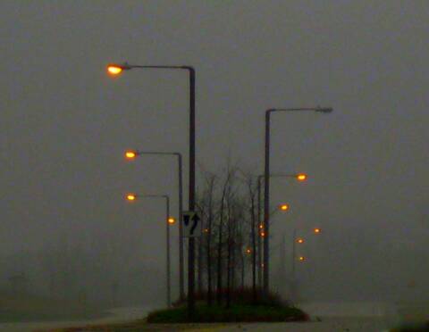 Street lamps in fog